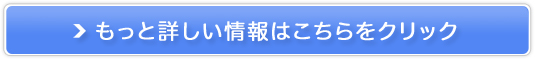 NȎɁypgD[XzCgjOzY̔Д̔TCg